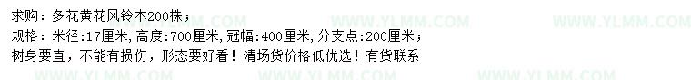 求购米径17公分多花黄花风铃木