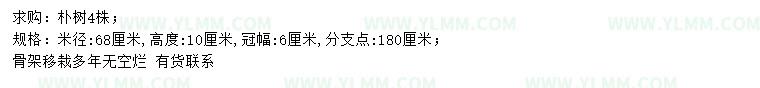 求购米径68公分朴树