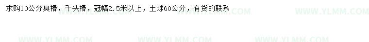 求购10公分臭椿、千头椿