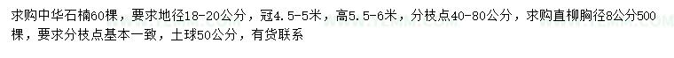 求购地径18-20公分中华石楠、胸径8公分直柳