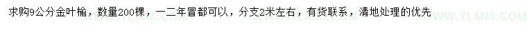 求购9公分金叶榆