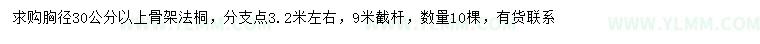 求购胸径30公分以上骨架法桐