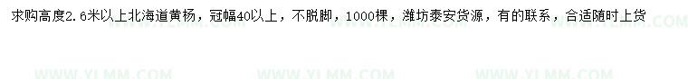 求购高2.6米以上北海道黄杨