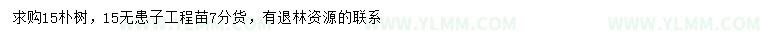 求购15公分朴树、无患子