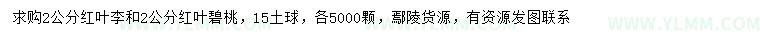 求购2公分红叶李、红叶碧桃