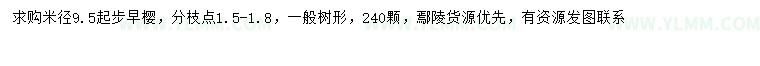 求购米径9.5公分以上早樱