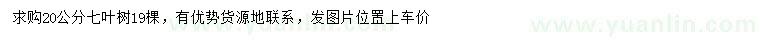 求购20公分七叶树