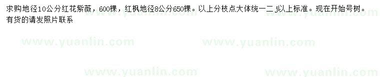 求购地径10公分红花紫薇、地径8公分红枫