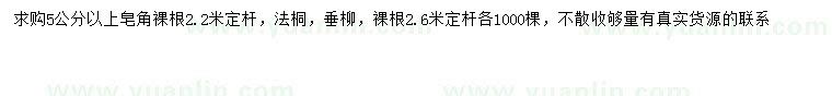 求購皂角、法桐、垂柳