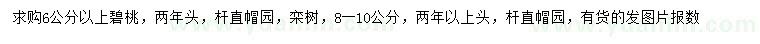 求购6公分以上碧桃、8-10公分栾树