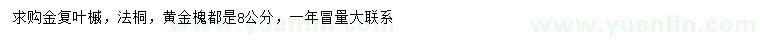 求购法桐、黄金槐、金复叶槭