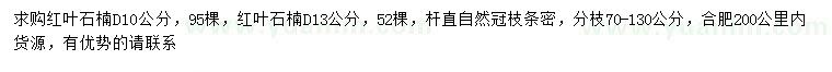 求购地径10、13公分红叶石楠