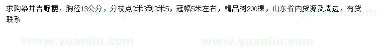 求购胸径13公分染井吉野樱