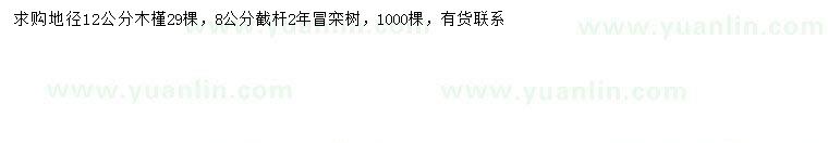 求购地径12公分木槿、8公分栾树