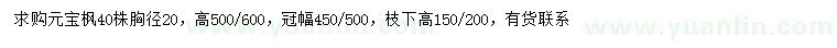 求购胸径20公分元宝枫