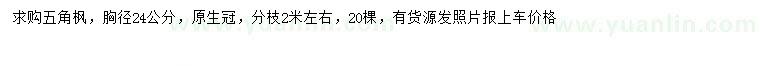 求购胸径24公分五角枫