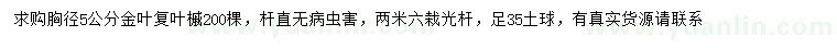 求购胸径5公分金叶复叶槭