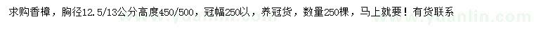 求购胸径12.5、13公分香樟