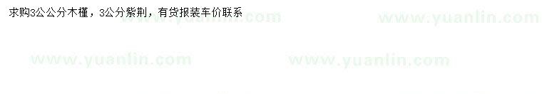 求購3公分木槿、紫荊