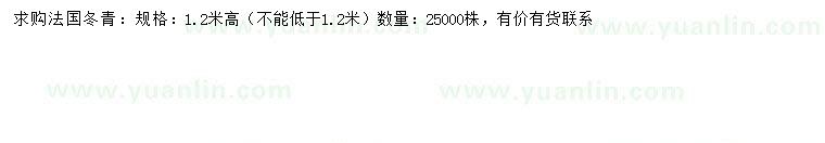 求购高1.2米法国冬青