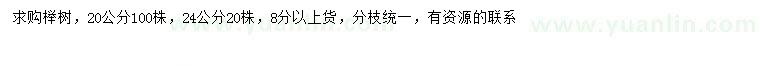 求购20、24公分榉树