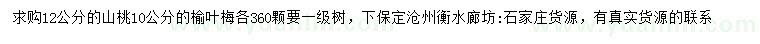 求购12公分山桃、10公分榆叶梅