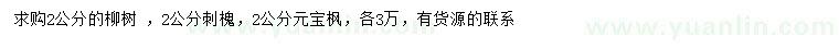 求购柳树 、刺槐、元宝枫