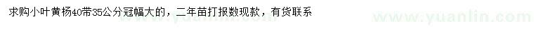 求购冠幅35、40公分小叶黄杨