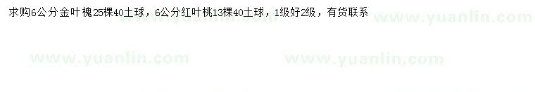 求购6公分金叶槐、红叶桃