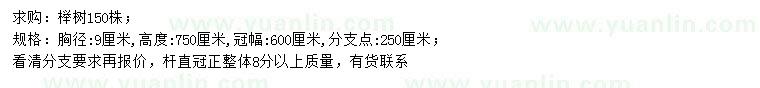 求购胸径9公分榉树