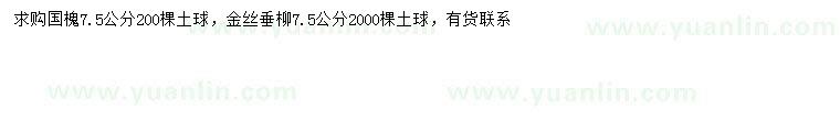 求购7.5公分国槐、金丝垂柳