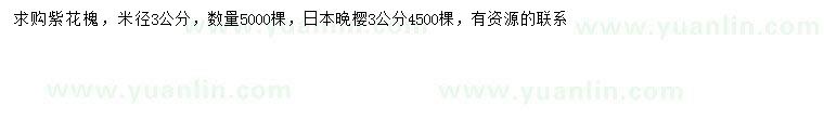 求购米径3公分紫花槐、日本晚樱