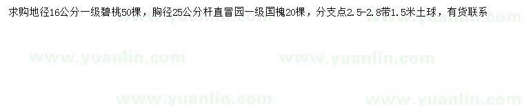 求购地径16公分碧桃、胸径25公分国槐