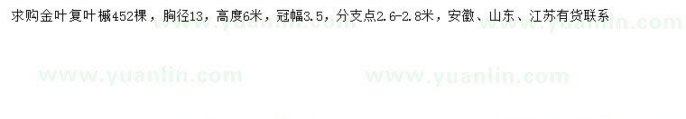 求购胸径13公分金叶复叶槭