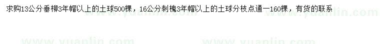 求购13公分垂柳、16公分刺槐