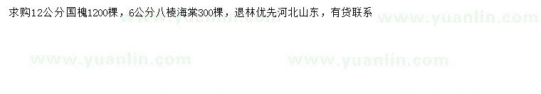 求购12公分国槐、6公分八棱海棠
