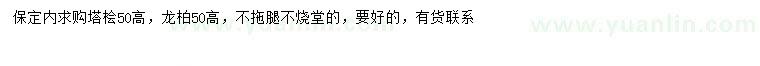 求购高50公分塔桧、龙柏