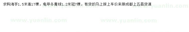 求购高1.5米海芋、冠幅1.2米龟甲冬青球