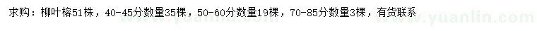 求购40-45、50-60、70-85公分柳叶榕