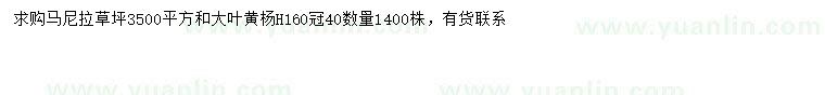 求购马尼拉草、高160公分大叶黄杨