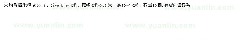 求购米径50公分香樟