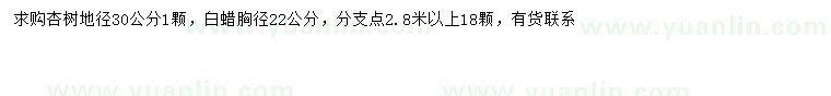 求购地径30公分杏树、胸径22公分白蜡