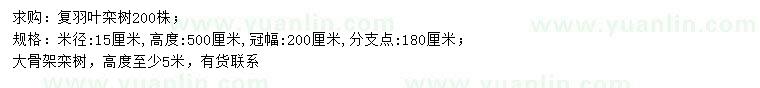 求购米径15公分复羽叶栾树