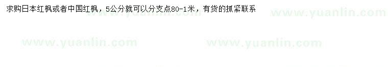求购5公分日本红枫、中国红枫