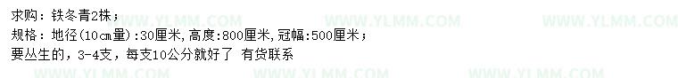 求购10量30公分铁冬青