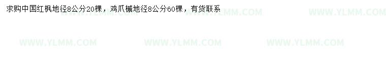 求購地径8公分中国紅楓、鸡爪槭