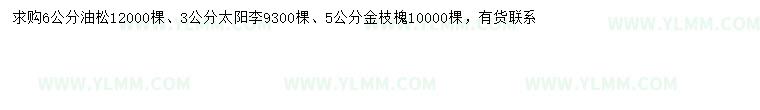 求购油松、太阳李、金枝槐
