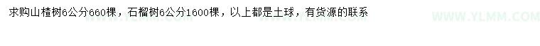 求购6公分山楂树、石榴树