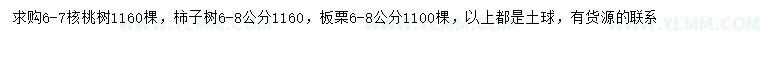 求购核桃树、柿子树、板栗