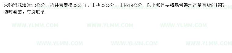 求购梨花海棠、染井吉野樱、山桃